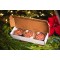 Assorted Tart Cherry Gift Box  -  $26.99 Delivered ($19.50 per box + $7.49 delivery)